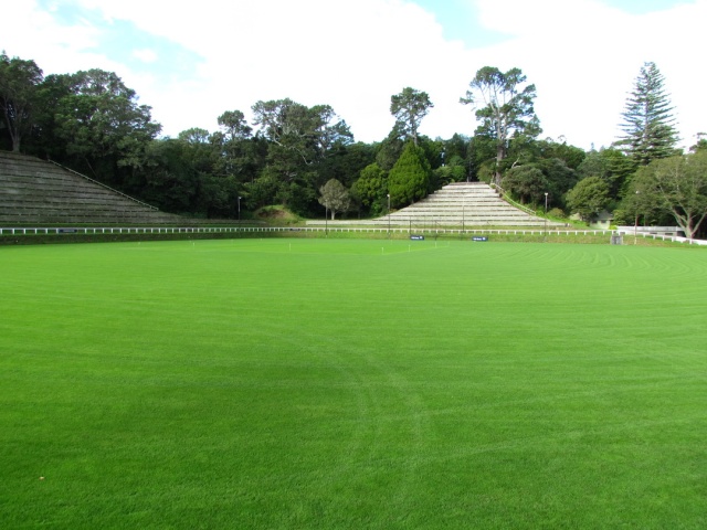 The Pukekura Park botanical garden/cricket ground. Now why wouldn't you watch a game of cricket being played here?!